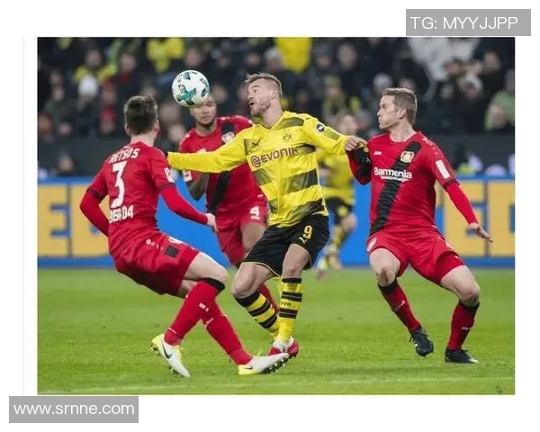 多特蒙德主场再胜，连胜势不可挡！